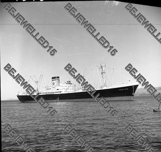 Altes Schiffsnegativ."Hobart Star".Frachtschiff auf der Blue Line Flotte.#045