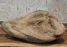 Natural Driftwood Sculpture Decorative Accent Rustic Organic Wood Art