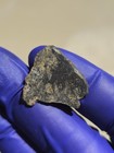 NWA 13636 Eucrite Unbrecciated Meteorite 1.476g Full Slice Rare w/ COA  — photo 5