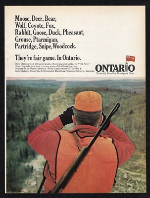1971 Ontario Moose Deer Bear Wolf Coyote Rabbit Goose Duck Fair Game Print Ad