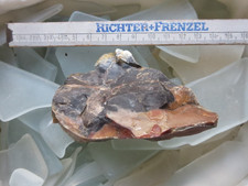 Opal sog. Holzopal Diatomeen Niederofleiden Hessen, 187 g Sammlungsauflösung