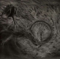 Nidsang - Into The Womb Of Dissolving Flames - Cd