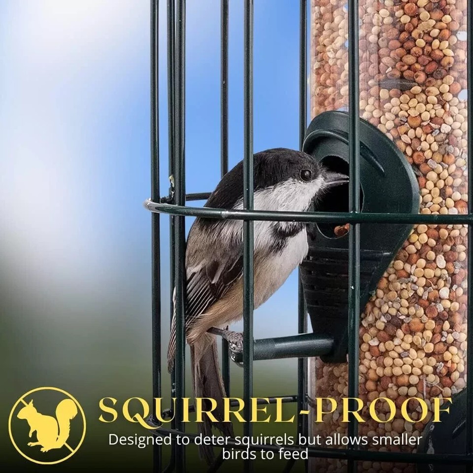 Hanging Garden Bird Seed Feeder With Squirrel Proof Guard FREE UK DELIVERY eBay