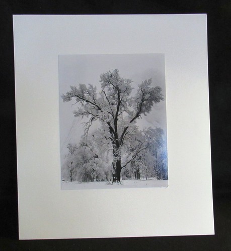 RARE ANSEL ADAMS SIGNED OAKTREE SNOWSTORM NUMBER 42 OF 85 ALAN ROSS