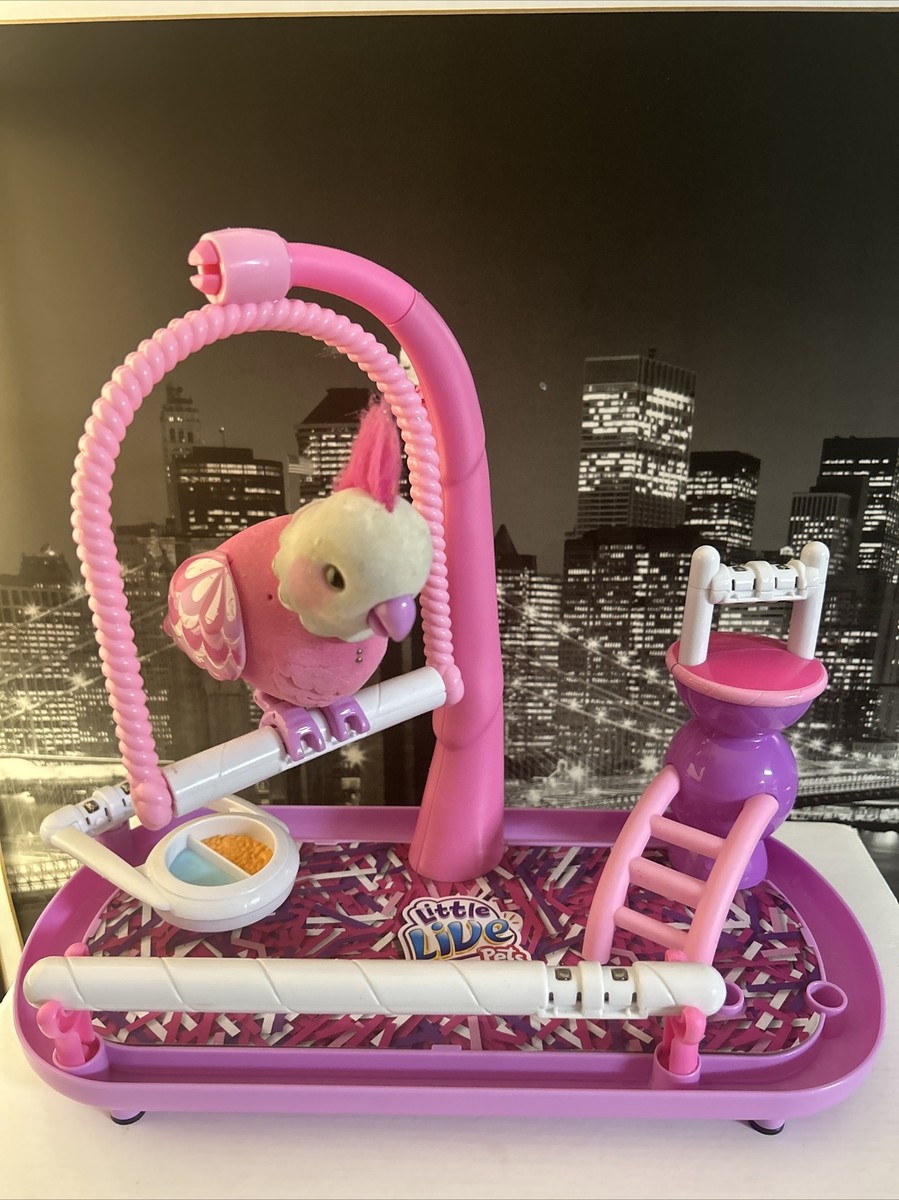 Cleverkeet Deals Little Live Pets Bird Cleverkeet Instructions