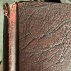 1953 Thorntonite Yearbook Harvey Illinois Great For Costume Design Or Photog — photo 2
