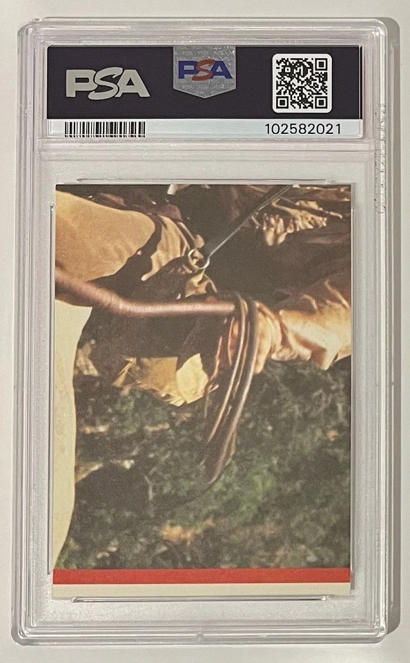 1984 TOPPS TEMPLE OF DOOM STICKER - #8 SHORT ROUND - INDIANA JONES: INDY - PSA 8 - Image 2 of 2