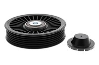 Vaico V31-0032 Umlenk-/FüHrungsrolle, Keilrippenriemen FüR Infiniti Jeep