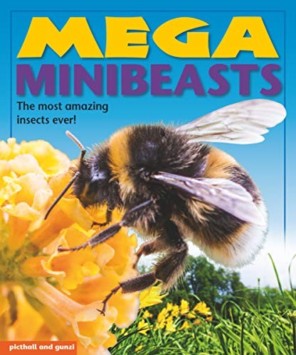 Mega Minibeasts (Mega Books) - Nina Filipek