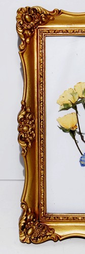Real Pressed Dried Flowers in Frame Art Decorative 12"X10" - Picture 4 of 7