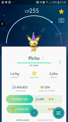 Pokémon Pichu ( Party Hat ) GO