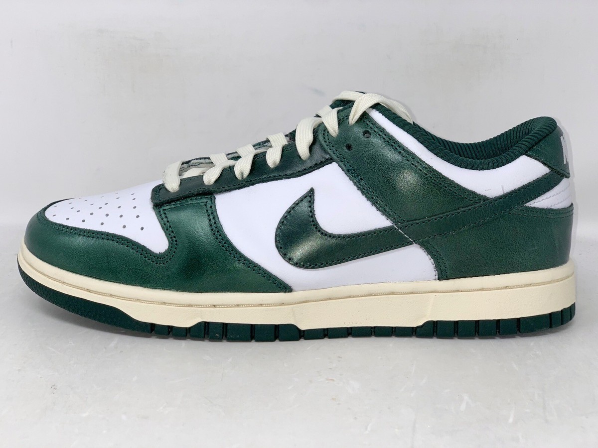 msu dunk low