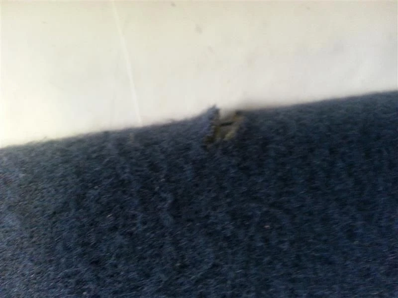 95-97 98 99 00 01 02 GRAND MARQUIS RIGHT PASSENGER SUN VISOR SUNVISOR Z10-148921 Foto 3 de 4