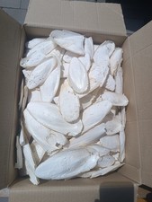 Sepia Sepiaschalen unbehandelt Kalzium 1 Kg Unsortiert f.Reptilien, Schildkr&ouml;ten