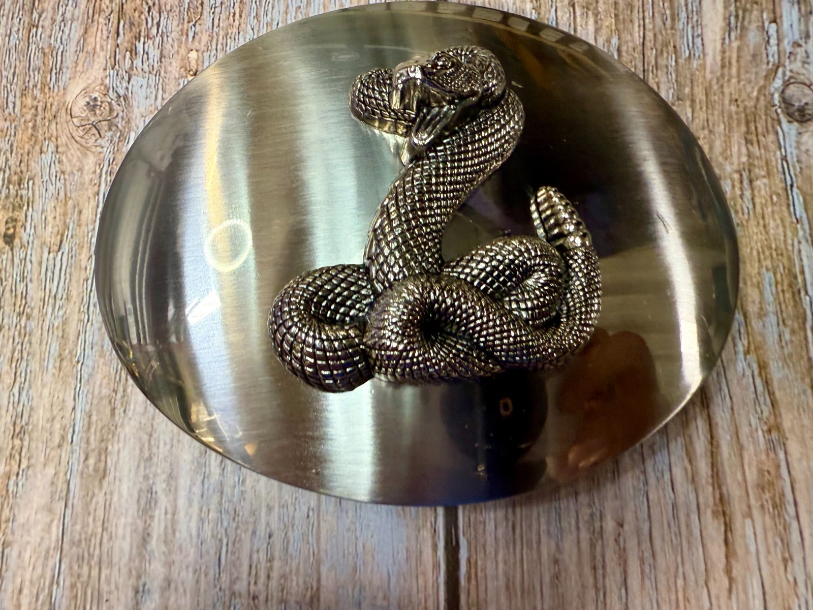 Snake Attacking Fangs Slithering Rattlesnake LARG… - image 12