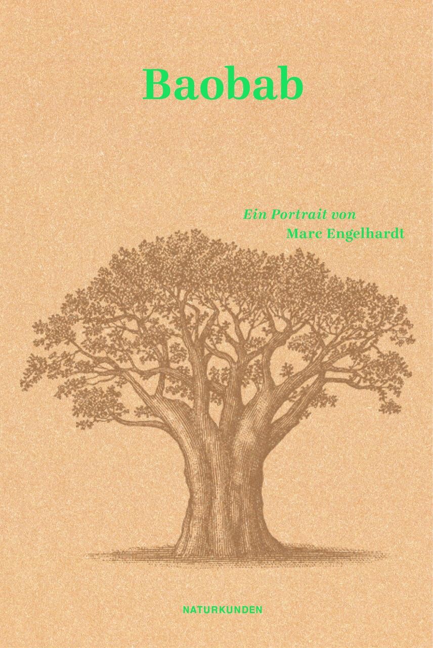 Baobab Marc Engelhardt - Bild 2