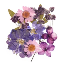 Dried Pressed Flowers Real Dry Leaves Pressed Flowers for DIY Crafts Purple