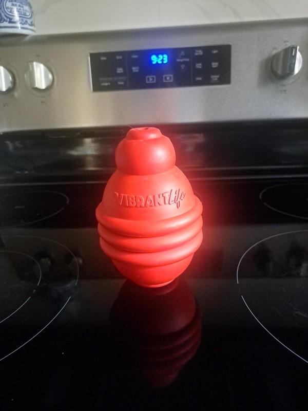 VIBRANTLife Red Dog Toy 6" Tall
