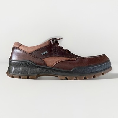 Ecco Track 25 Low GTX Bison Gore-Tex Hiking Leather Shoe US 10-10.5 EUR 44