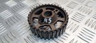 Fuel pump gear