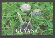 Champignons Guyana 1993 (28) bloc oblitéré used