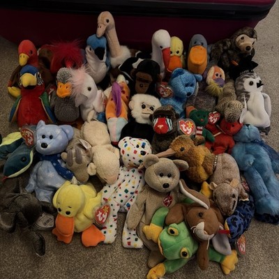 TY Beanie Babys Konvolut x 36 Dachbodenschätze selten und nicht mehr produziert, 4 fehlende Etiketten