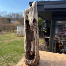 Small Driftwood 9x3x3   Central Hollow Sculptural Natural Wood Aquarium