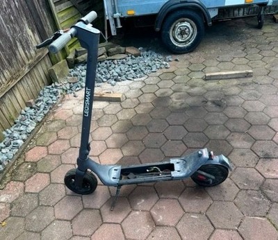 Segway Ninebot KickScooter E25D E-Scooter - Anthrazit