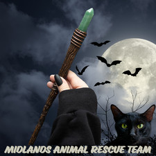 Thin Abundance Green Aventurine Crystal Wand  28cm - Sale For Our Animal Charity