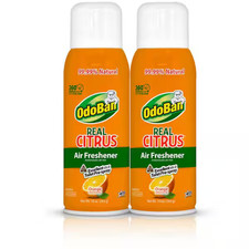 2-Pack Citrus Orange Air Freshener 360 Continuous Spray 10 Oz