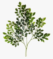 Artplants Kunst Orangenrauten Zweig Scuti, GrüN, 70Cm