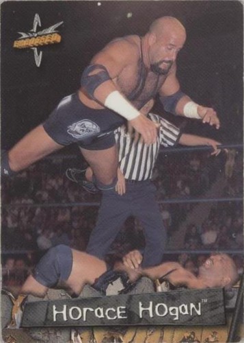 Horace Hogan Signed Shikishi Board Wwf Wwe Wcw Njpw | eBay