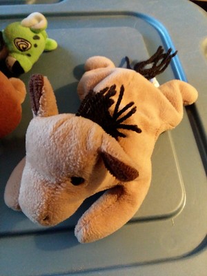 beanie baby derby
