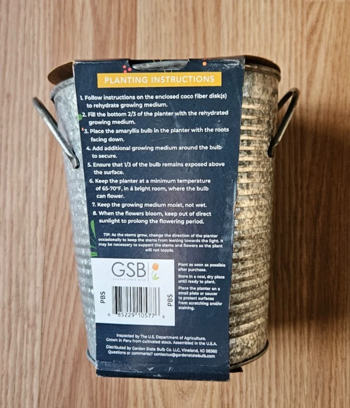 White Amaryllis Bulb Kit by Garden State Bulb 1 Count Holiday Gift NEW - Image 3 of 4