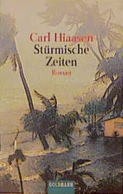 Stürmische Zeiten (Goldmann Allgemeine Reihe) Buch Goldmann