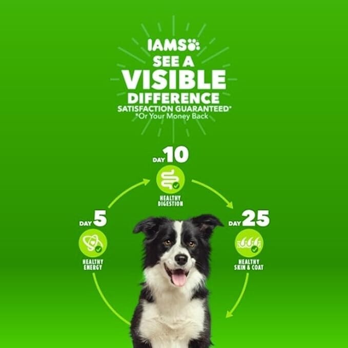 IAMS Proactive Health Large Breed Adult Dry Dog Food with Real Chicken