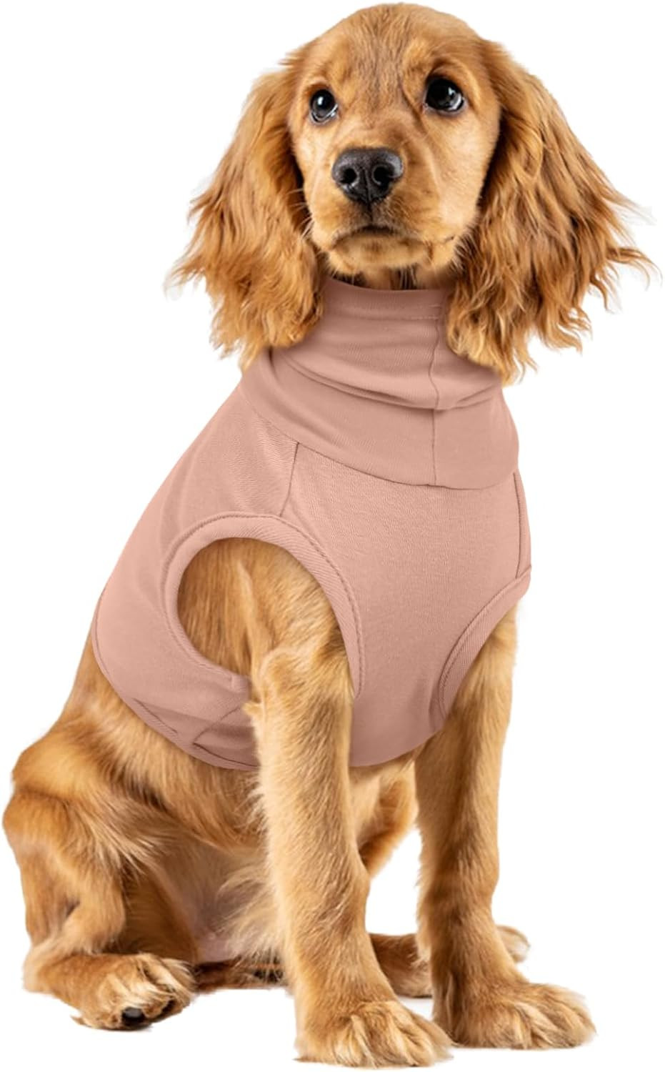Scalda Orecchie per Cani Professionale | Snood Anti-Ansia ed Elastico