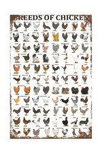 Funny Chicken Sign, Metal Chicken Coop Tin Signs, Breeds of Chicken, Yard Sig...