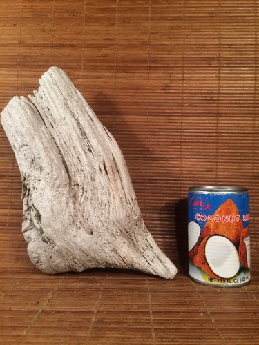 Beautiful 13" DRIFTWOOD Piece Terrarium Taxidermy Aquarium Beach Wood DECOR - Picture 11 of 12