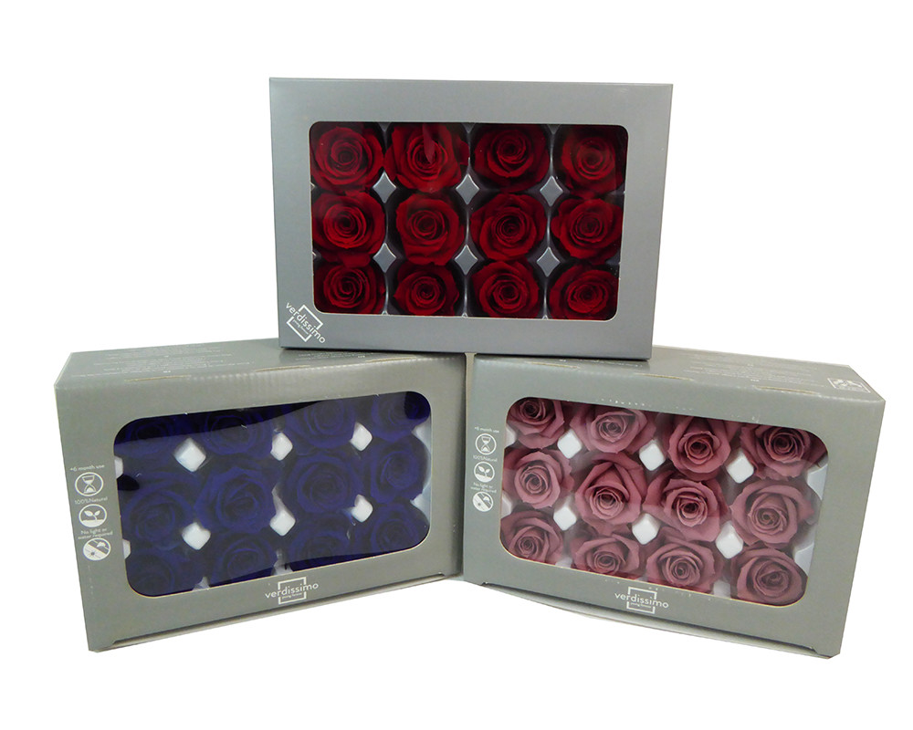 12 Rose Stabilizzate Rosse 4cm - Il Tuo Amore Eterno in Scatola
