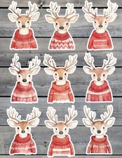 Winter Reindeer Vinyl Die Cut Stickers Set Scrapbooking Laptop Waterbottle