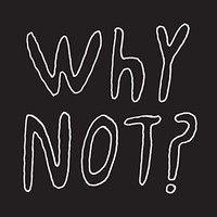 1/2 Japanese - Why Not - Vinyl Record - G3Z