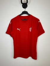 DENMARK HANDBALL NATIONAL TEAM 2018 2019 SHIRT JERSEY PUMA SIZE M