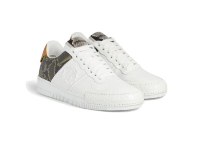 roberto cavalli shoes men