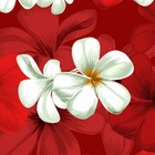 Bild 162 von 346