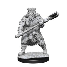 Dungeons  Dragons Unpainted Miniatures: W14 Human Barbarian Male