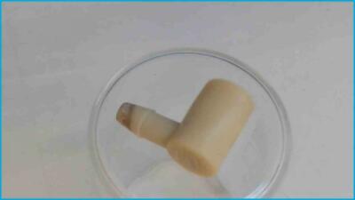 Wasser Schlauch Anschluss Kupplung Pumpe Gummi Black Touch Plus SUP032AR