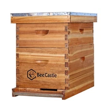 BeeCastle 10-Frames Complete Beehive Kit, 100% Beeswax Coated Bee Hive Includ...