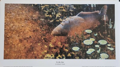 Karpfenfischen limitierte Auflage Druck, ikonischer gewöhnlicher Karpfen, neu