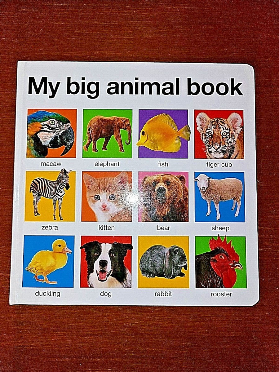 My Big Animal Book (My Big Board Books) by Roger Priddy Board Book